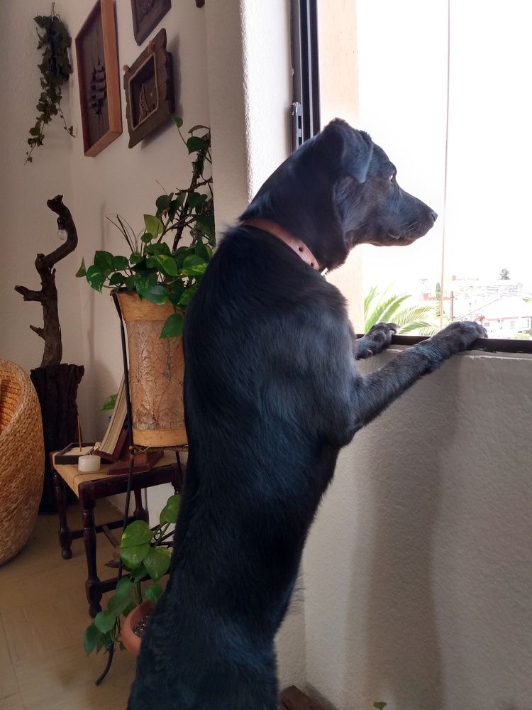 Photograph by José Luis Mendoza Machado