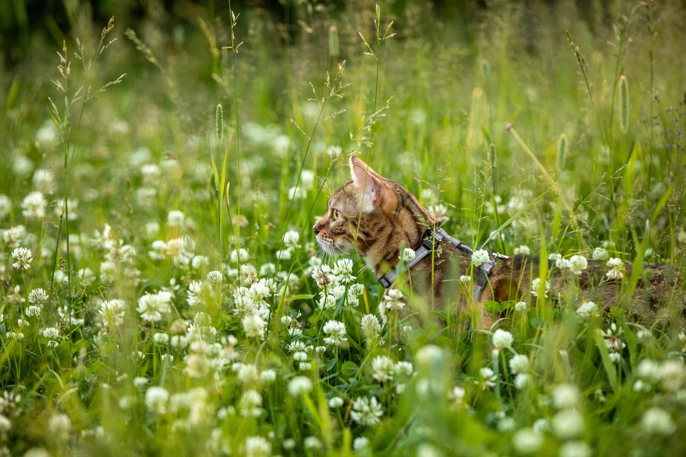 Photograph by Илья Юфа