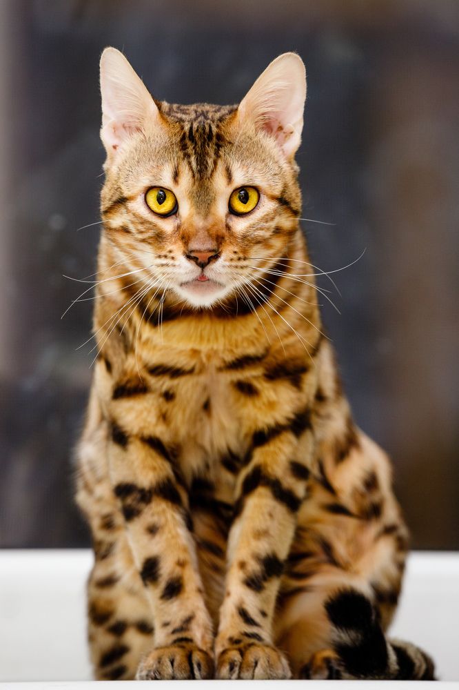 Photograph by Илья Юфа