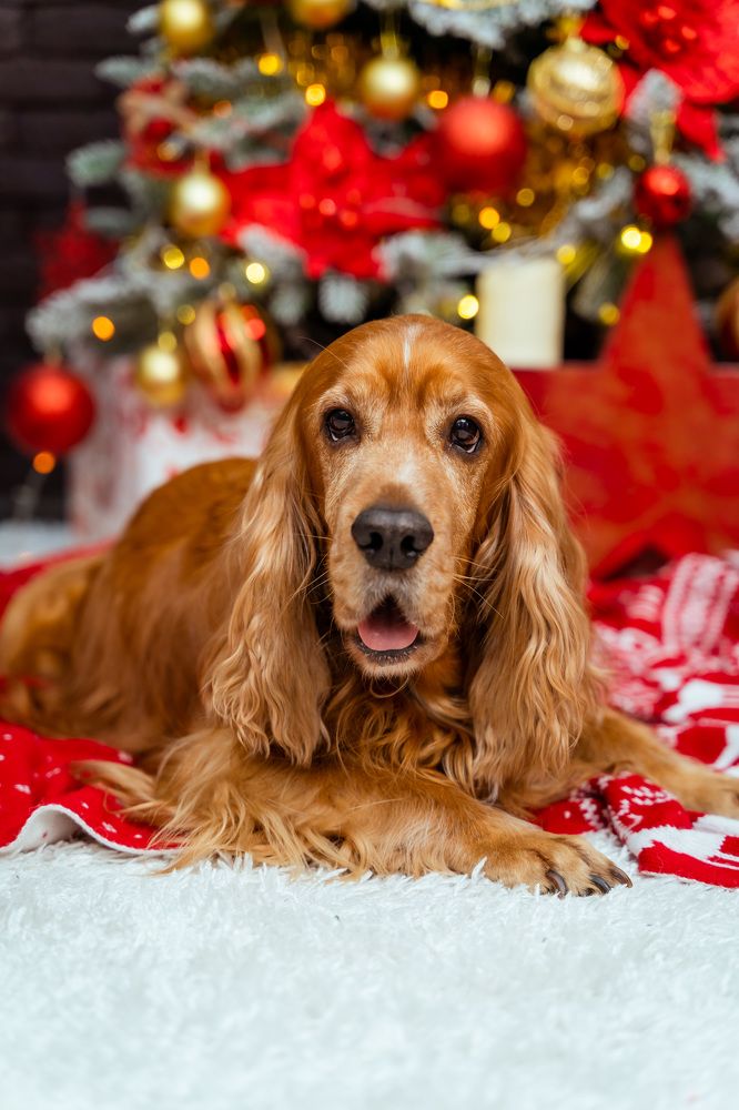 Photograph by Мельник Виктория