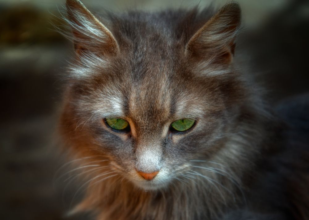 Photograph by Владимир Кваша