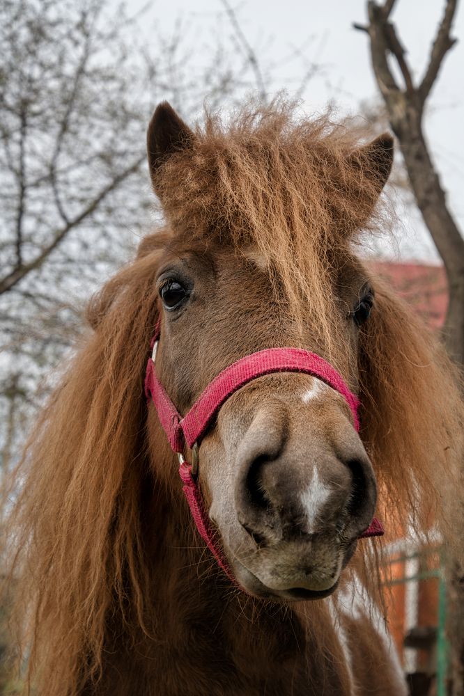 Photograph by Владимир Кваша
