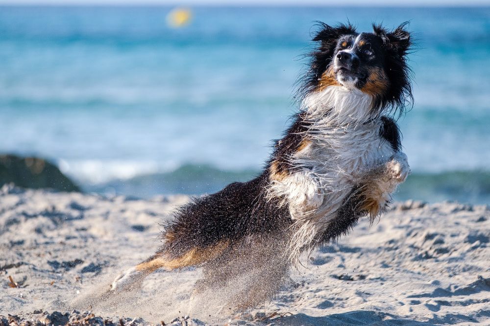 Photograph by Katerina