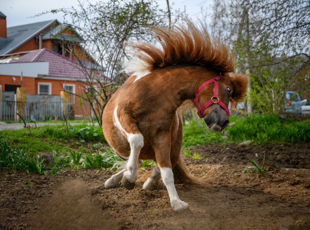 Photograph by Владимир Кваша