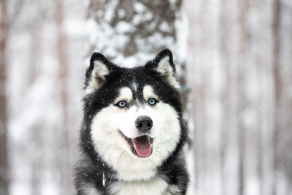 Photograph by Илья Юфа