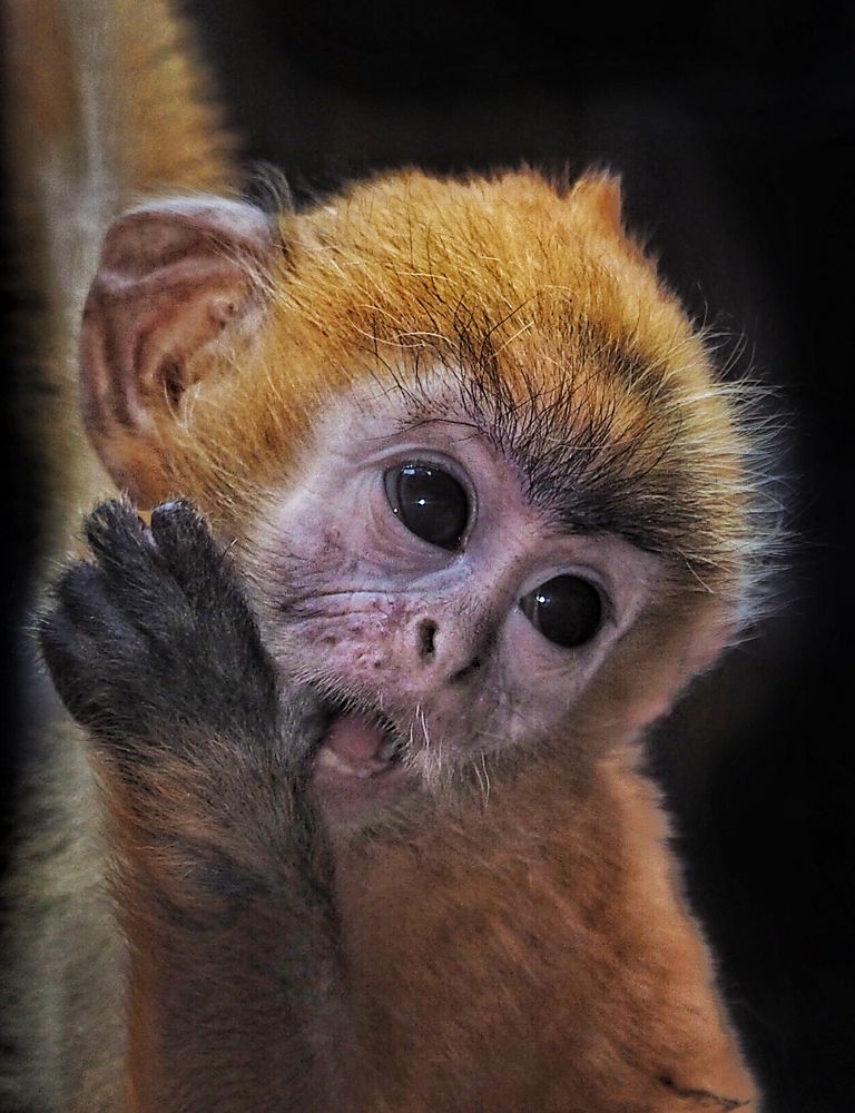 Photograph by Asa Satria Said