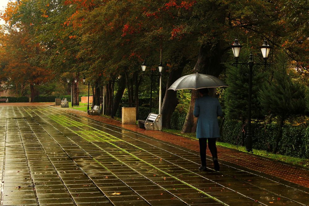 Relax under the rain