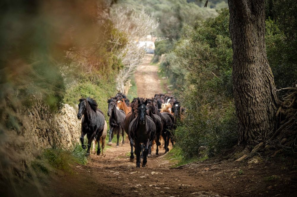 Photograph by Katerina