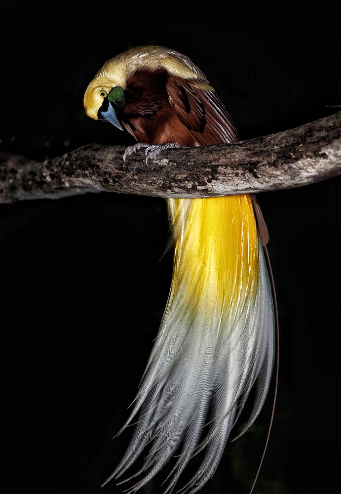 Photograph by Asa Satria Said