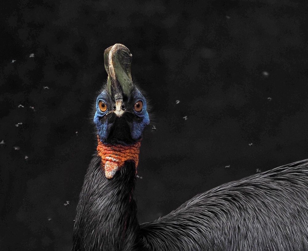 Photograph by Asa Satria Said