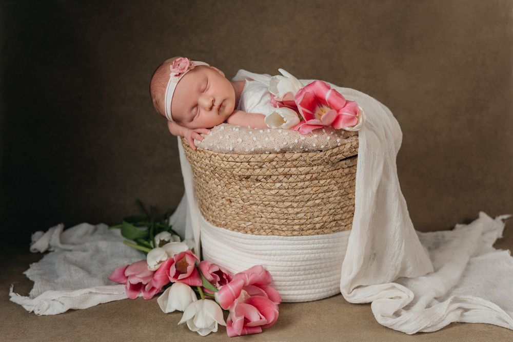 Фотография автора Светлана Сергеевна Абрамян