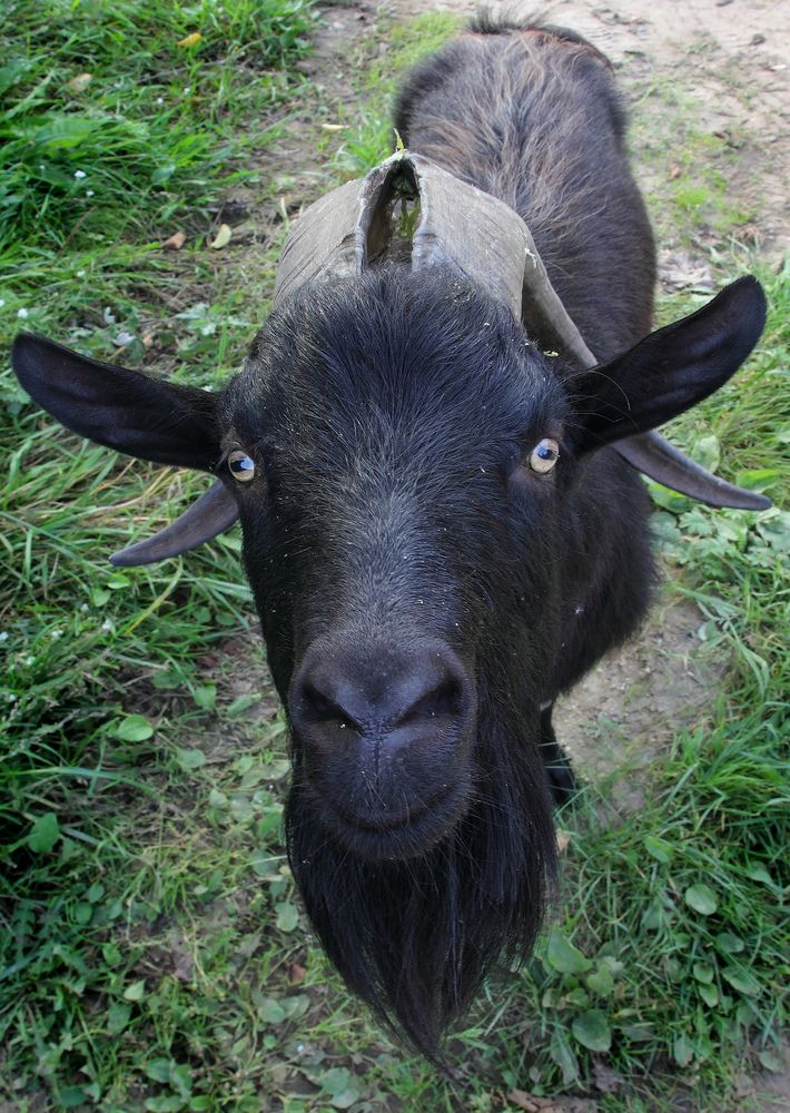 Photograph by Андрей Лукин