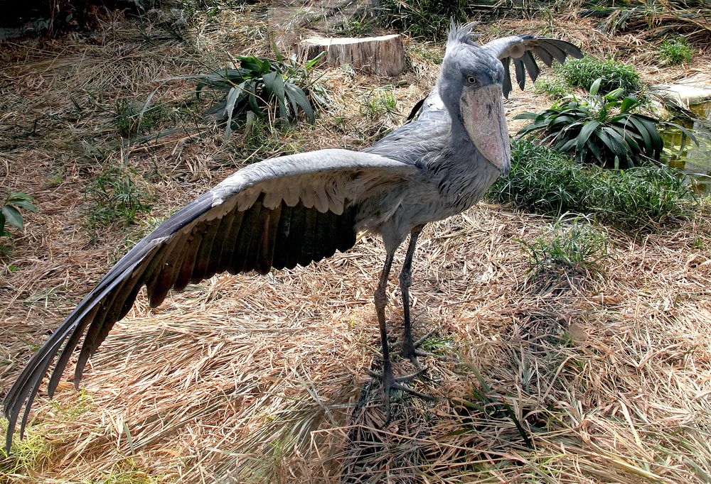 Photograph by Андрей Лукин