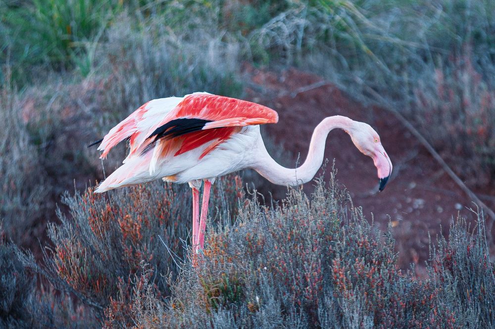 Photograph by Katerina