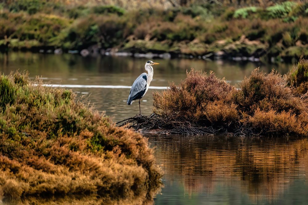 Photograph by Katerina