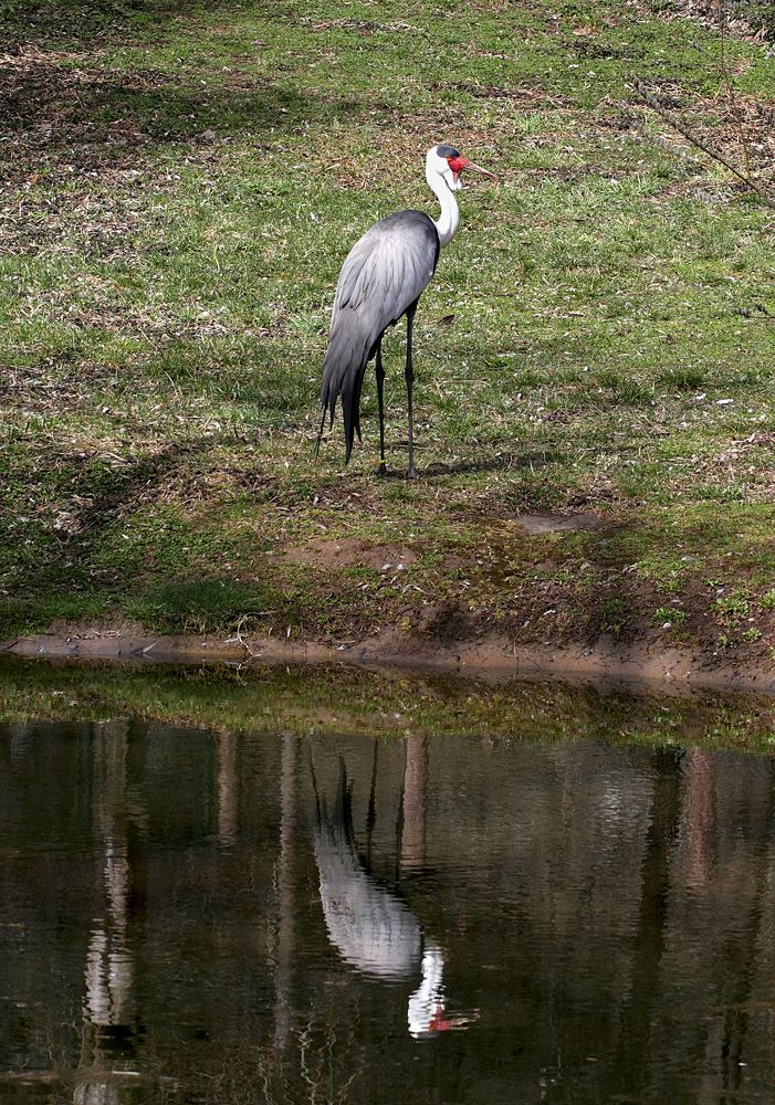 Photograph by Андрей Лукин
