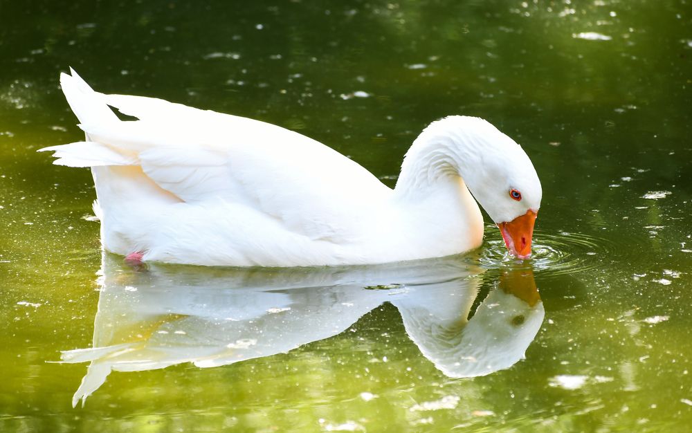 Photograph by Adl Abdolahi