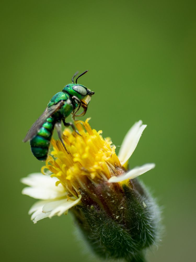 Photograph by PRABANJAN KARUPPUSAMY