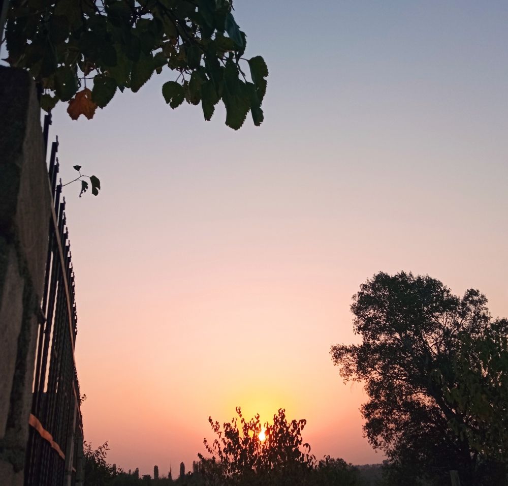 Фотография автора Hormat Alakbarova