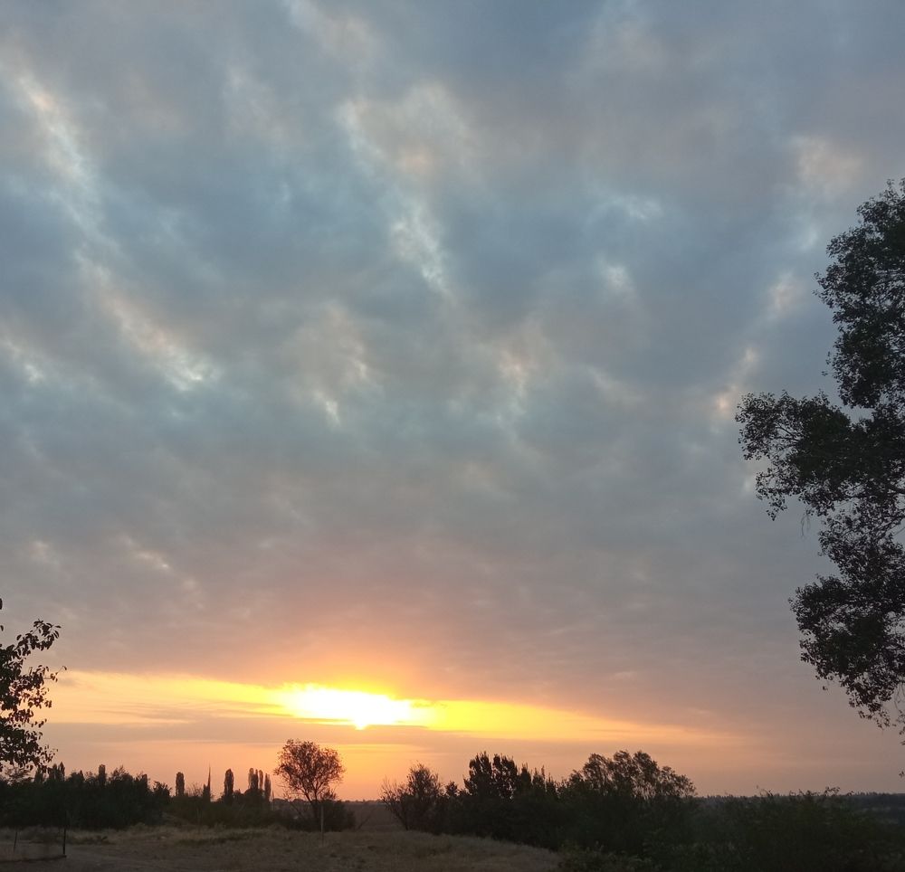 Фотография автора Hormat Alakbarova