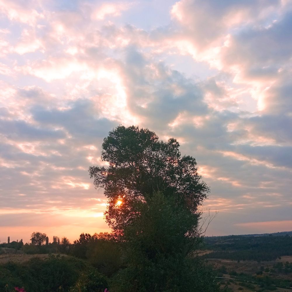 Фотография автора Hormat Alakbarova