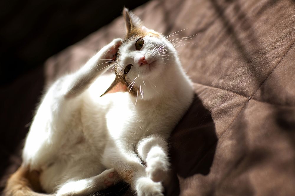 Photograph by Максимова Ольга Васильевна