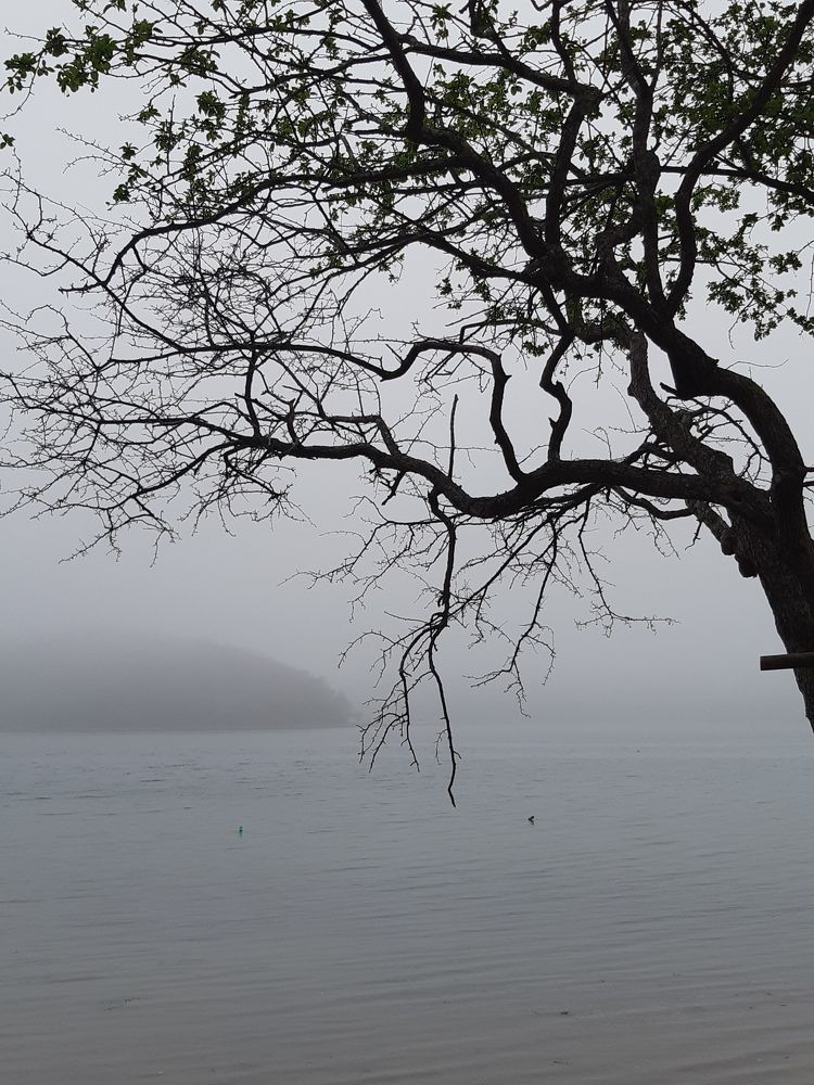 Photograph by Наталья Примак