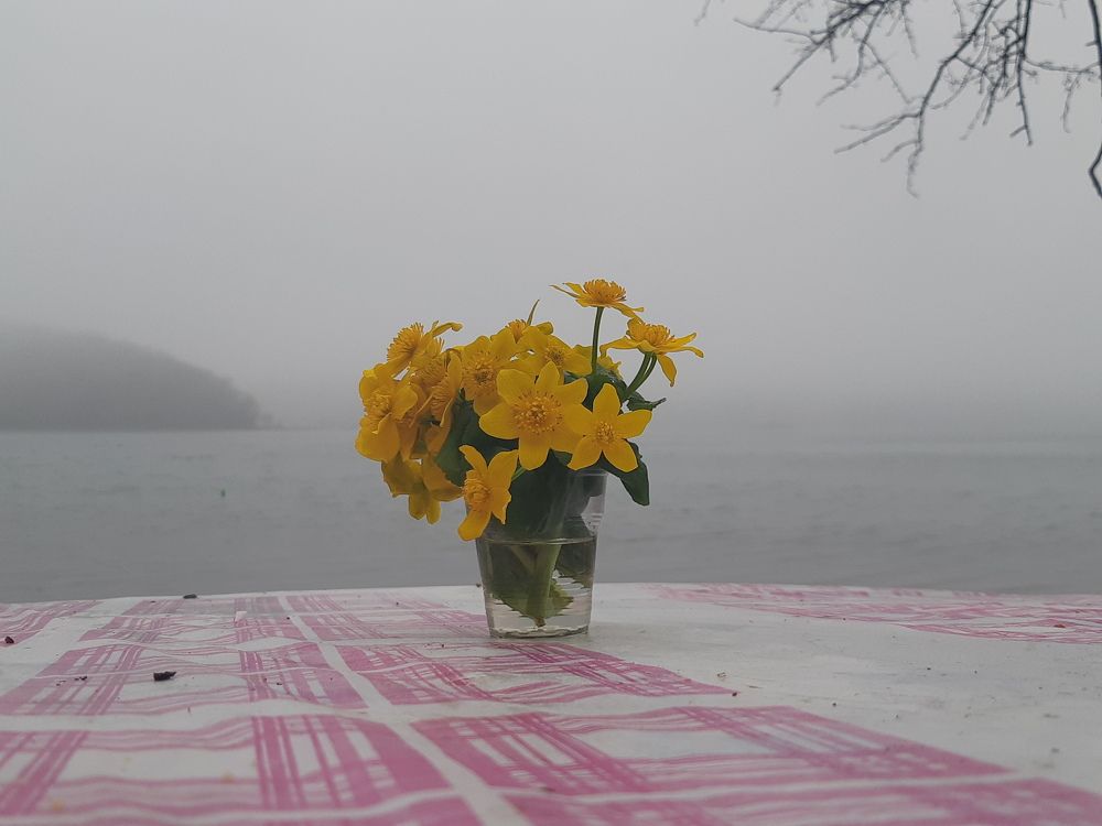 Photograph by Наталья Примак