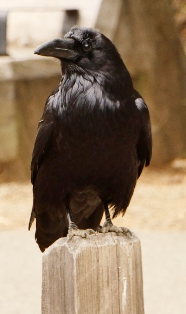 Photograph by Michelle Vaughn