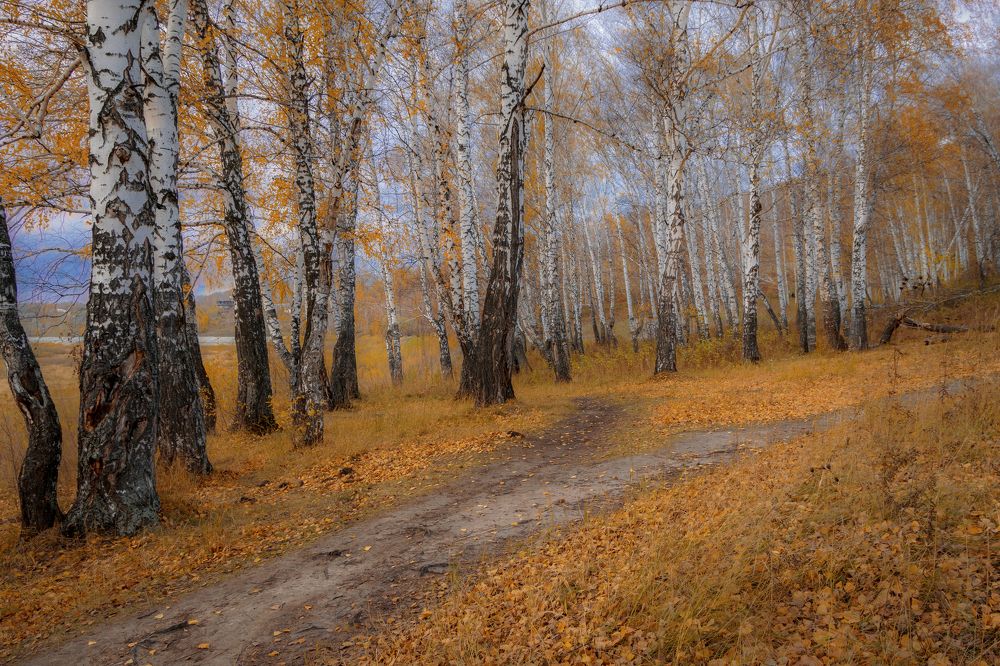 Photograph by Евгений Малинин