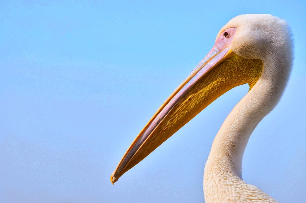 Photograph by Epp Tappel