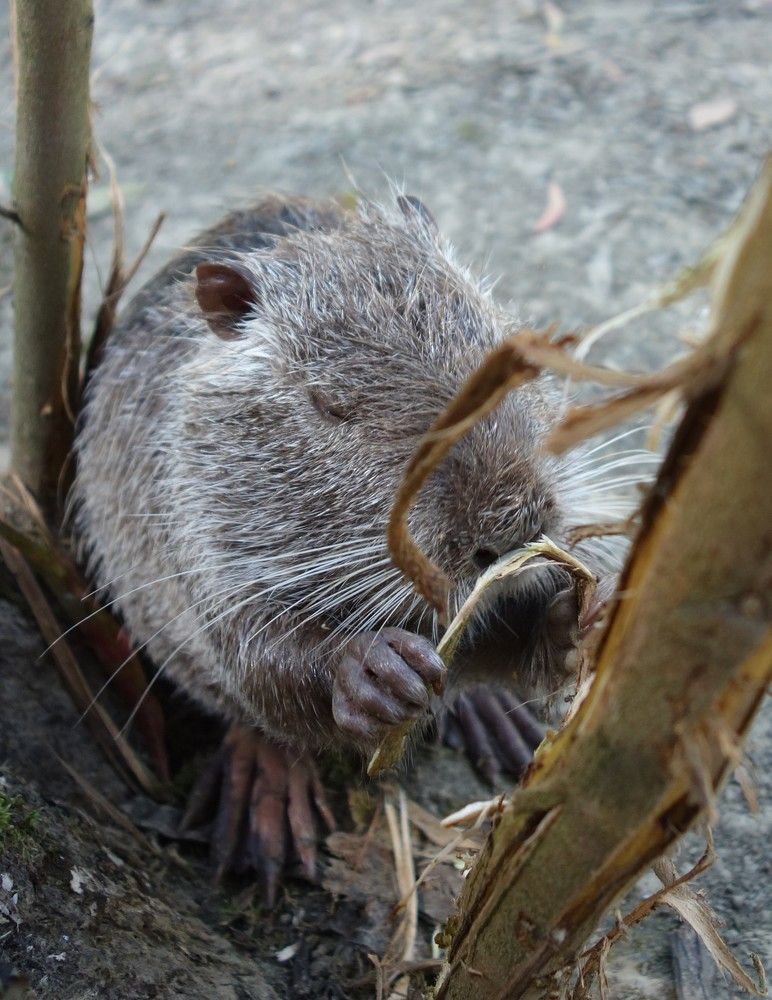 Фотография автора Валентина Рихмаер