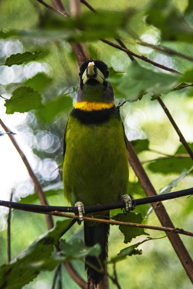 Photograph by Pujo Cahyono