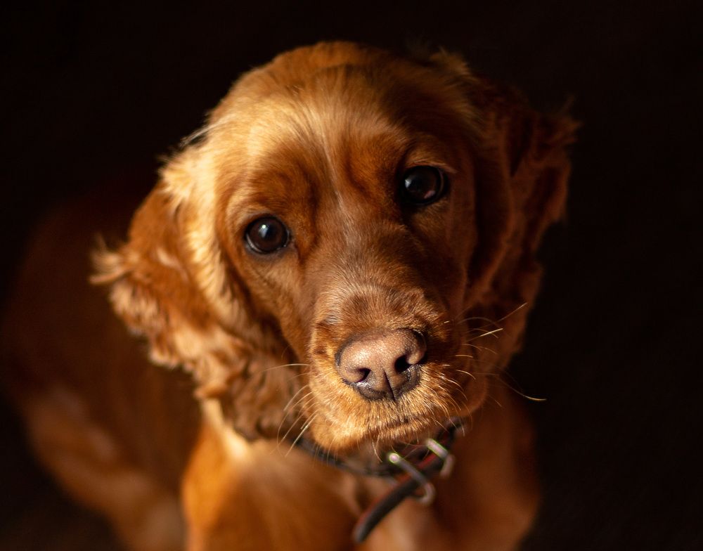 Photograph by Елена Рудь