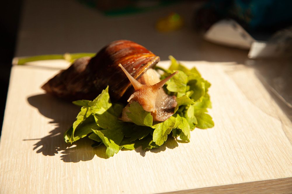 Photograph by Лариса Цепелева