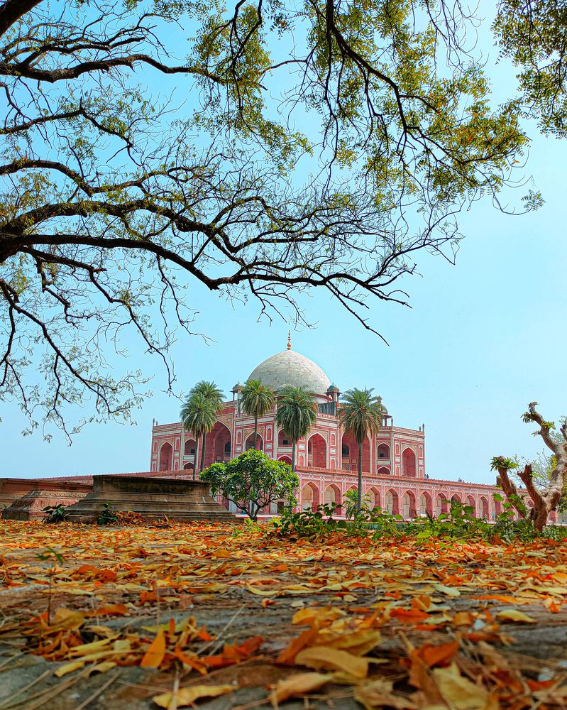 Photograph by Amit Singla