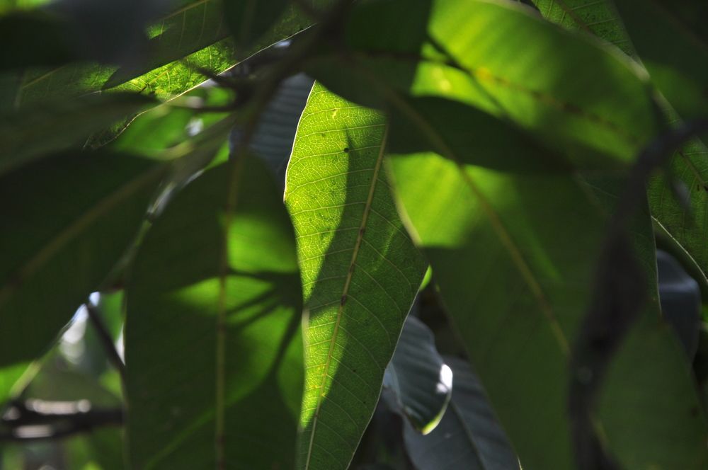 Photograph by SANDEEP KUMAR SHARMA SHARMA