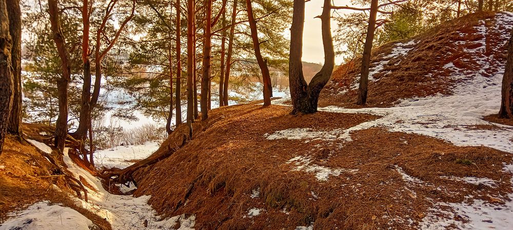 Photograph by Надежда Колеватова