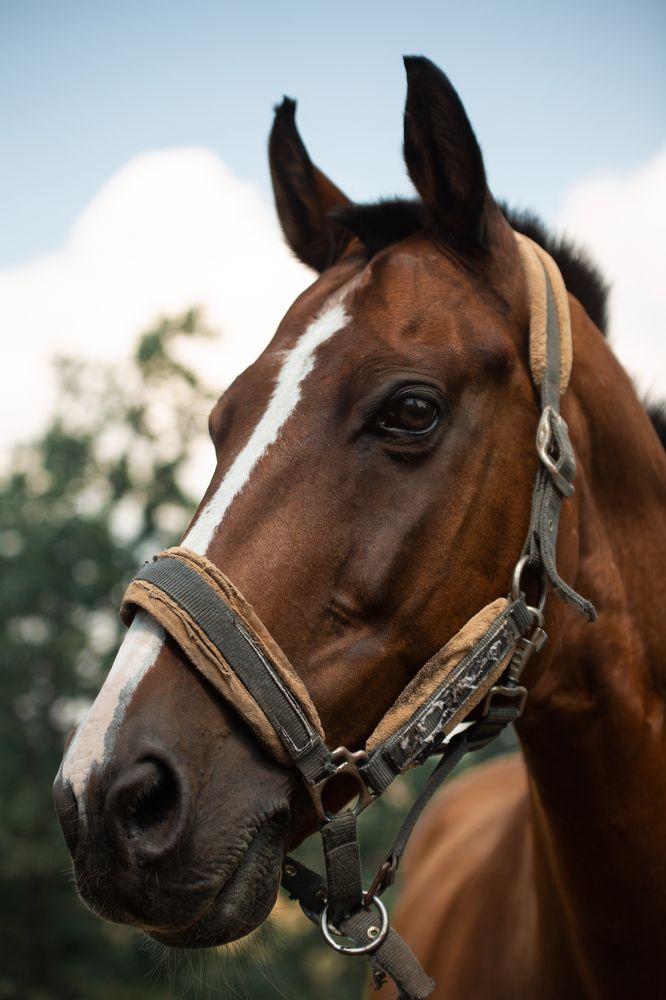 Photograph by Ирина Голомако