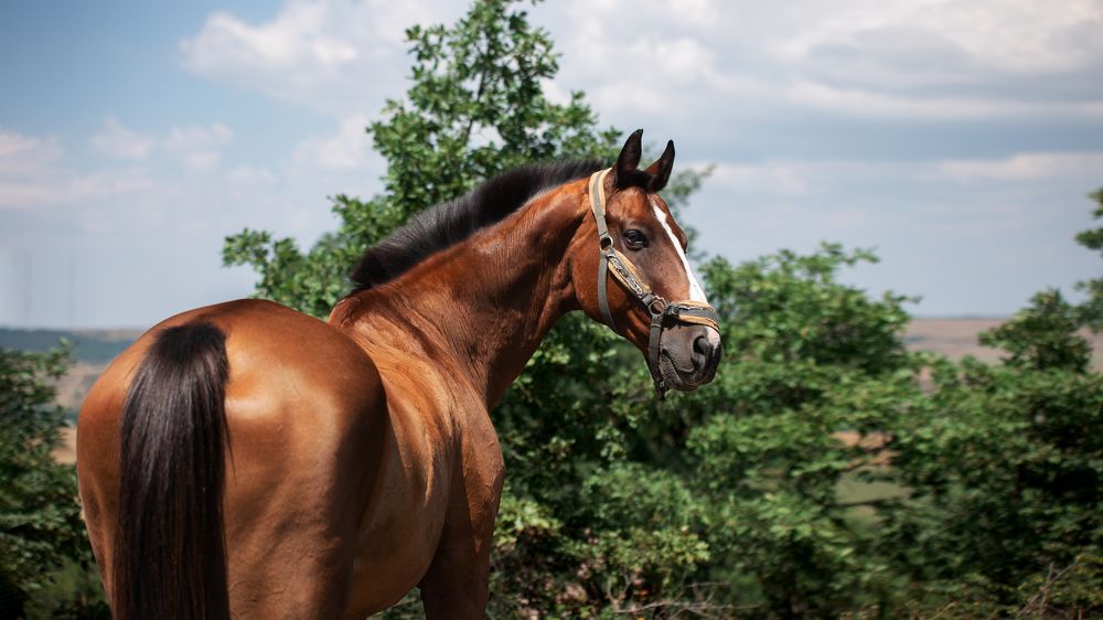 Photograph by Ирина Голомако