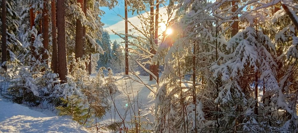Photograph by Надежда Колеватова