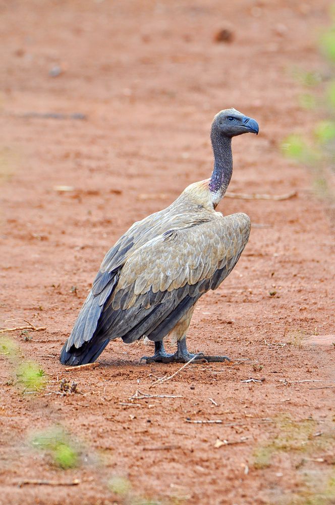 Photograph by Светлана Папшева