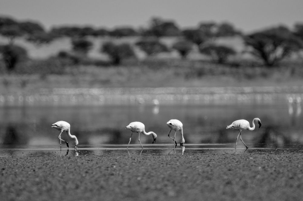 Photograph by Светлана Папшева