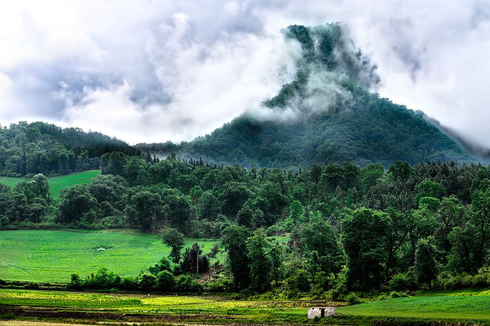 Photograph by fereydoon deliry