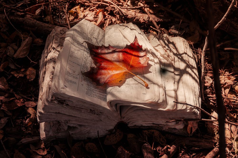 Don't make the Truth Meaningless