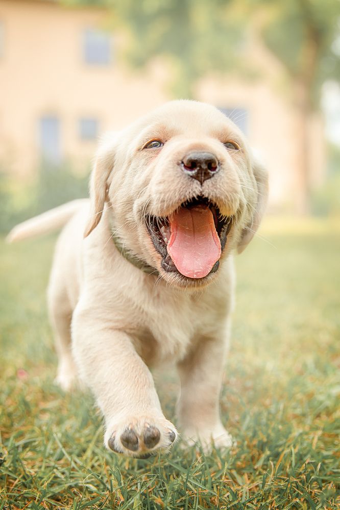 Фотография автора Aleksandr Kurnosov