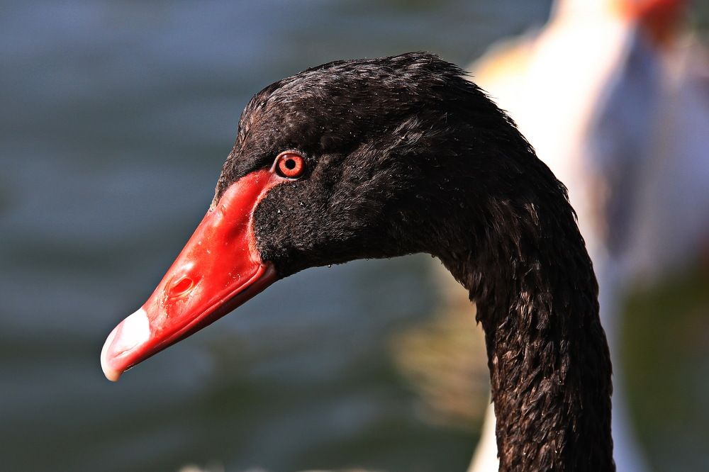 Photograph by Shukurjon Isamukhamedov