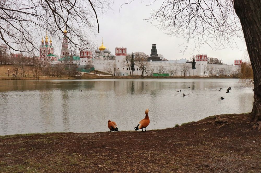 Photograph by Наталья Турбина