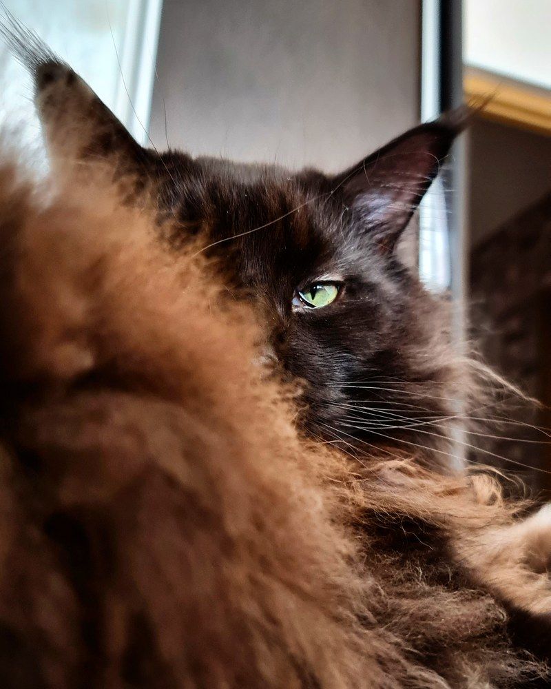 Photograph by Елена