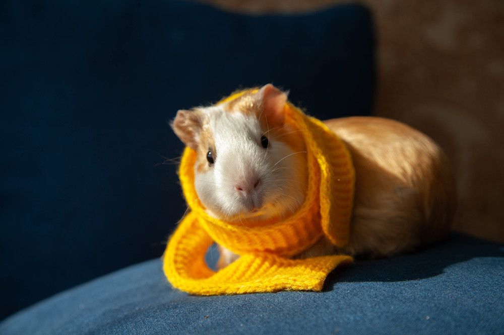 Photograph by Лариса Цепелева